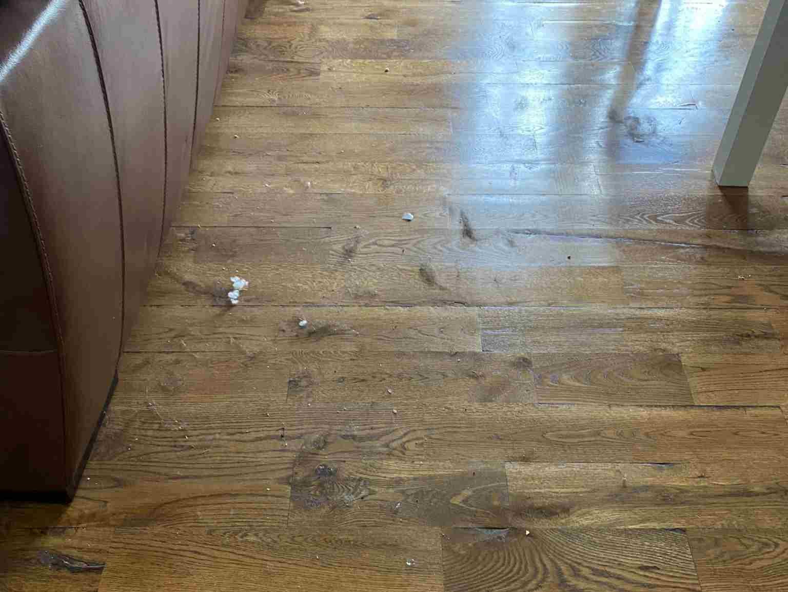 Elizabeth Cleaning Services