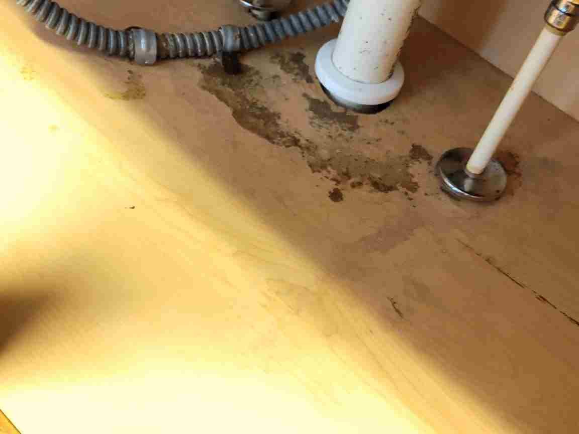 Elizabeth Cleaning Services
