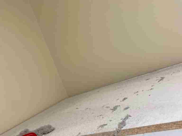 Elizabeth Cleaning Services