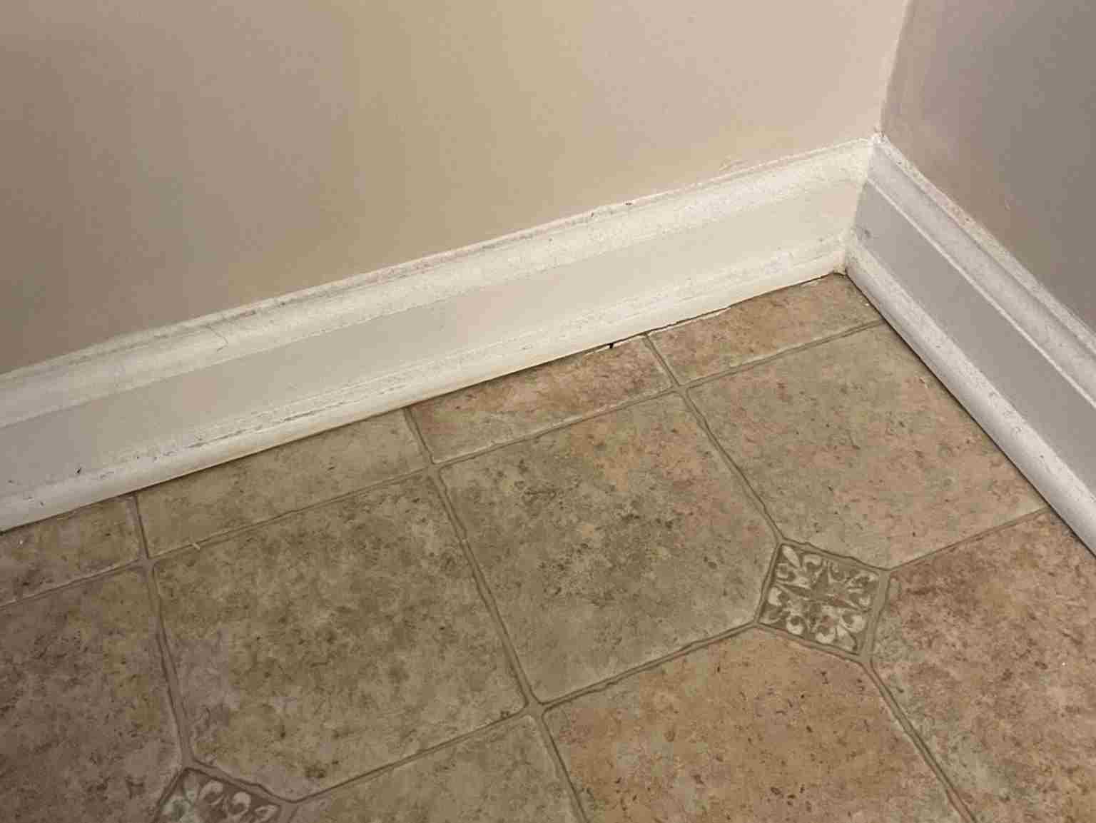 Elizabeth Cleaning Services